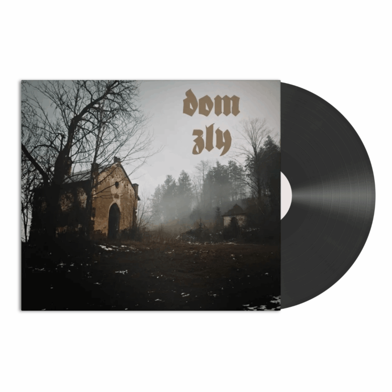 dom zły rytual - Vinyl